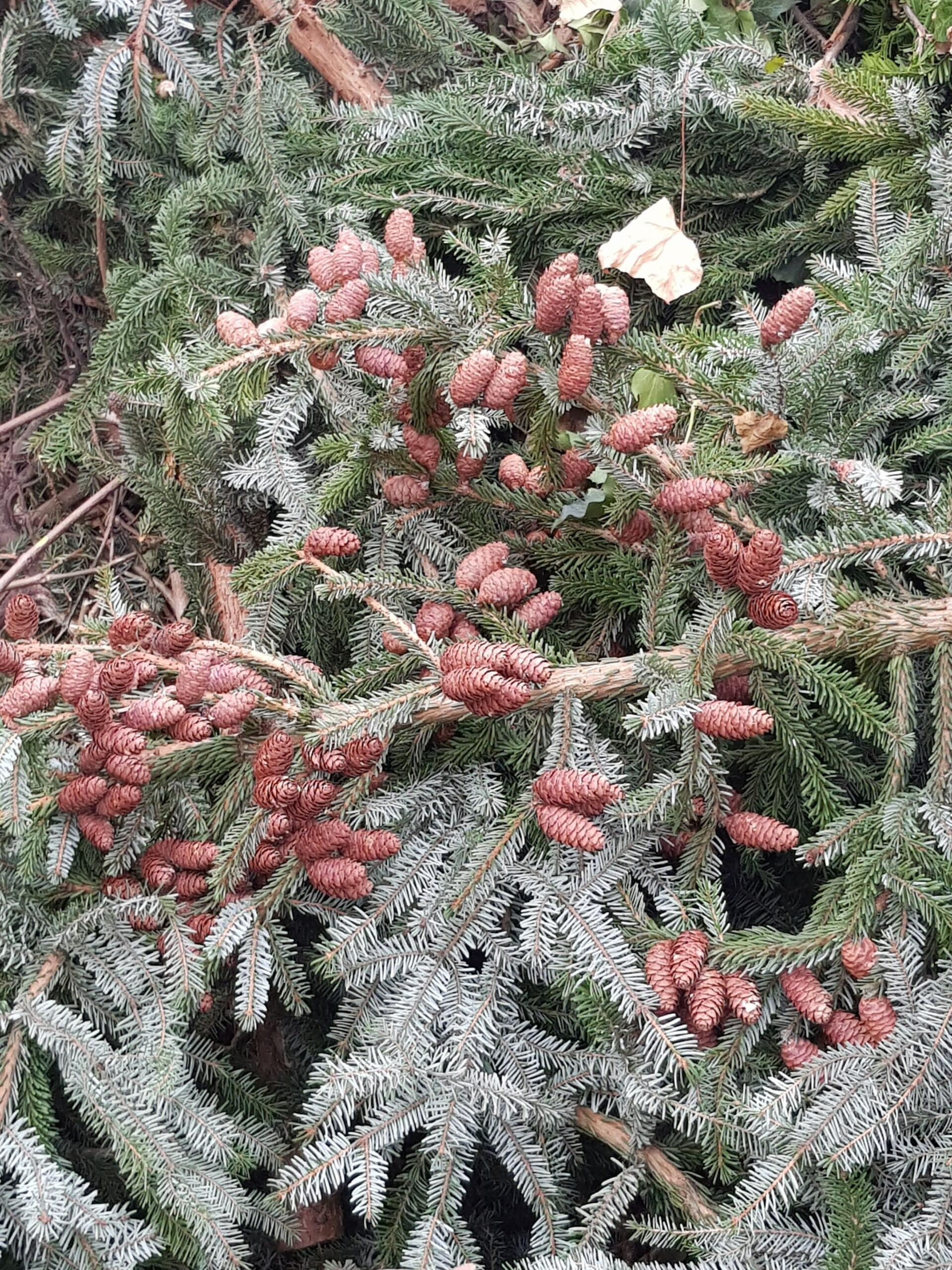 20190327_180027