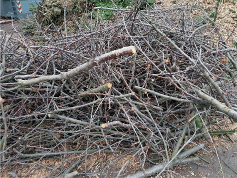 Astwerk zum Bauhof bringen oder Container bestellen Astwerk zum Bauhof bringen oder Container bestellen