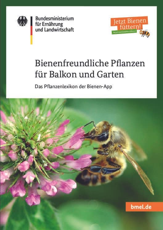 Umweltfreundlich, nachhaltig Grünabfälle entsorgen, bienenfreundlich neu anpflanzen Umweltfreundlich, nachhaltig Grünabfälle entsorgen, bienenfreundlich neu anpflanzen