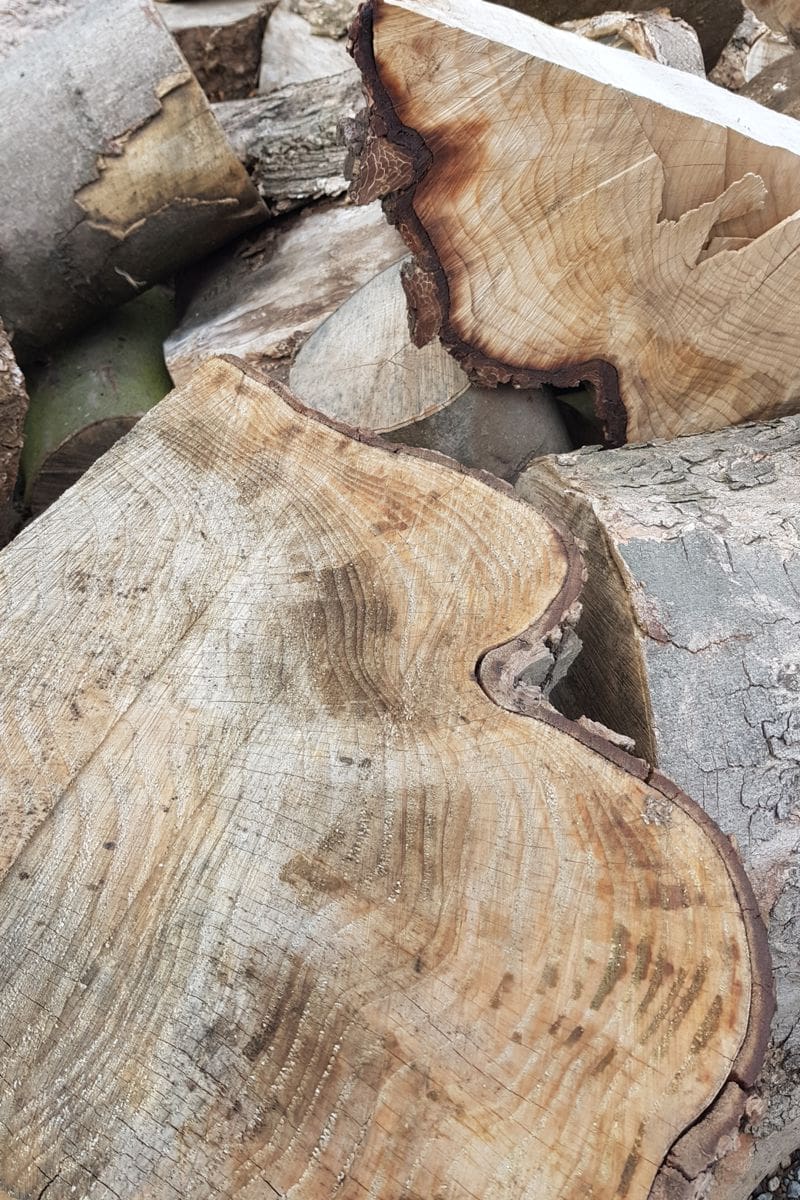 Stammholz aus Hürth Stammholz aus Hürth