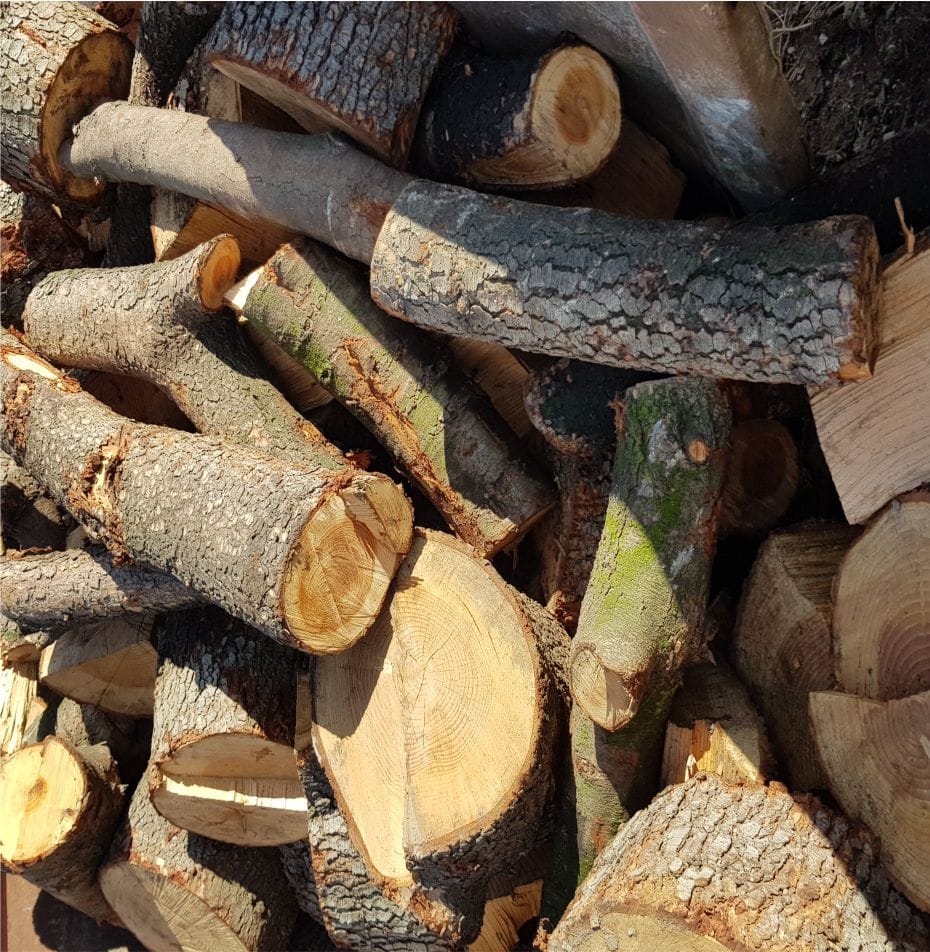 Stammabschnitte mit größerem Durchmesser sind keine Grünschnitt Stammabschnitte mit größerem Durchmesser sind keine Grünschnitt